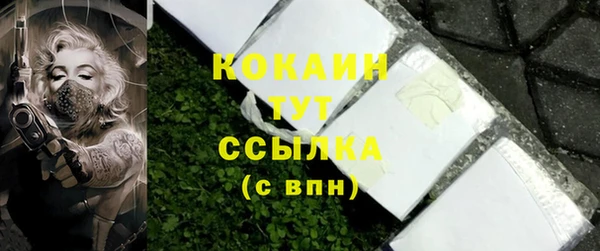 хмурый Абаза