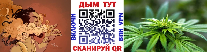 цены   Домодедово  Бошки марихуана сатива 